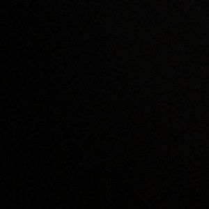 Meet your Posher, Roni